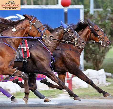 equibase harness results|mohawk harness race track results.